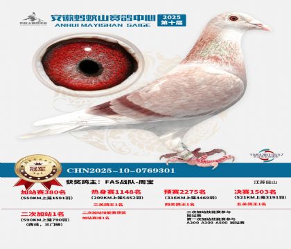 蚂蚁山580公里加站赛冠军