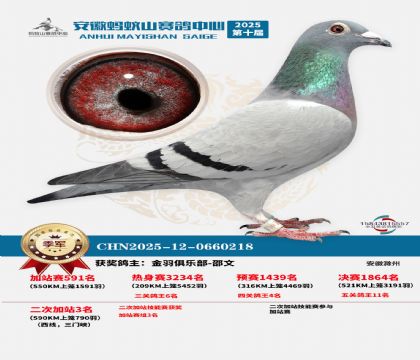 蚂蚁山580公里加站赛季军