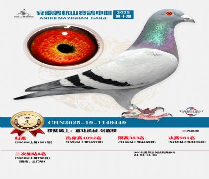 蚂蚁山580公里加站赛4名