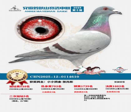 蚂蚁山580公里加站赛5名