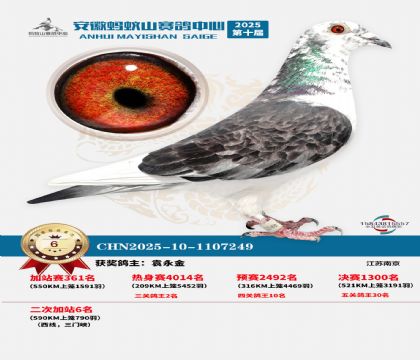 蚂蚁山580公里加站赛6名