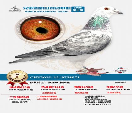 蚂蚁山580公里加站赛8名