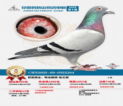 蚂蚁山580公里加站赛12名