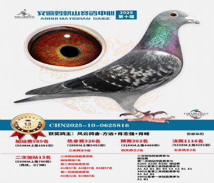 蚂蚁山580公里加站赛13名