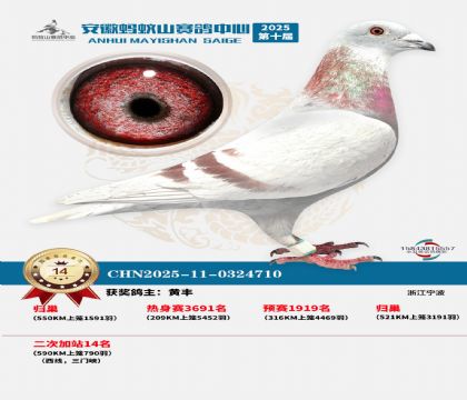 蚂蚁山580公里加站赛14名