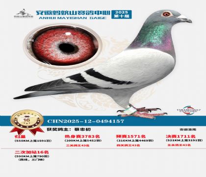 蚂蚁山580公里加站赛16名