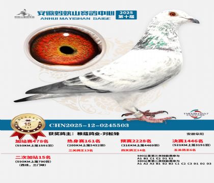 蚂蚁山580公里加站赛15名