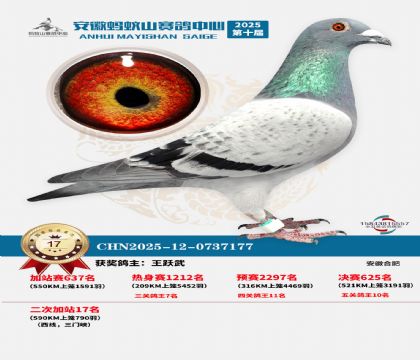 蚂蚁山580公里加站赛17名