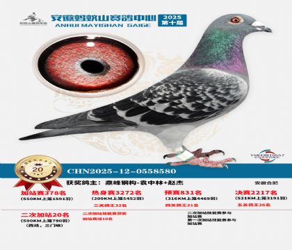 蚂蚁山580公里加站赛20名