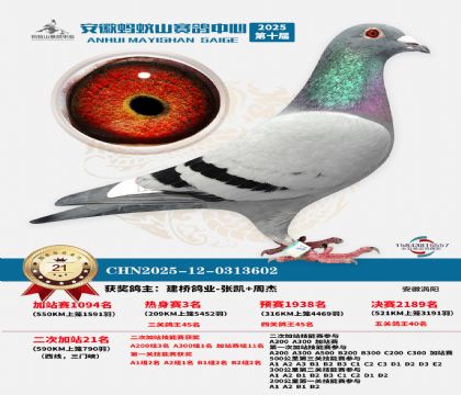 蚂蚁山580公里加站赛21名