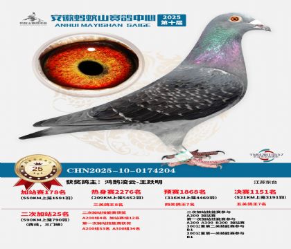 蚂蚁山580公里加站赛25名