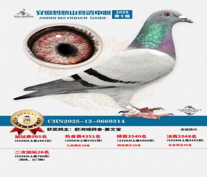 蚂蚁山580公里加站赛26名