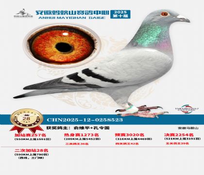 蚂蚁山580公里加站赛28名