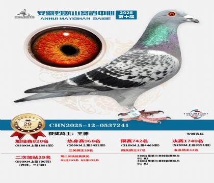 蚂蚁山580公里加站赛29名