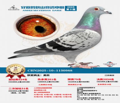 蚂蚁山580公里加站赛31名