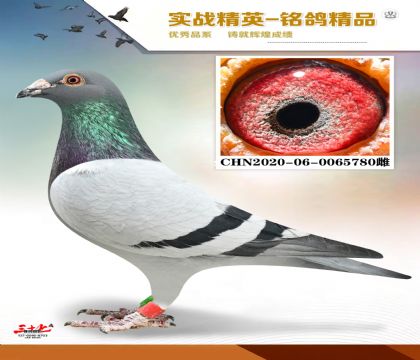 ������ɣ��ʿ