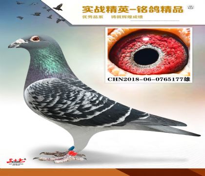 ����������   ����