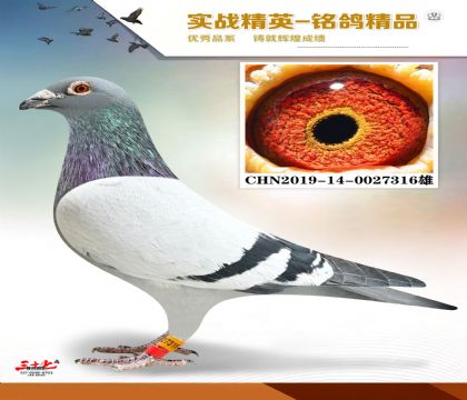 ���ݻԻ͹���   56��