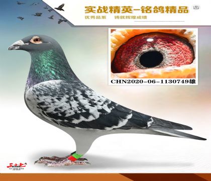 ������ɭ˹������