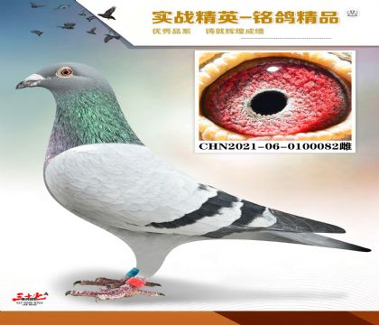 ���� 082    ��ָͨ��