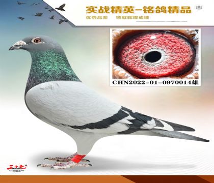 ������ɣ��ʿ