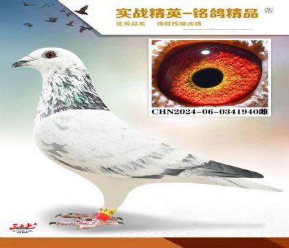 ������   ���׻�Ѫ