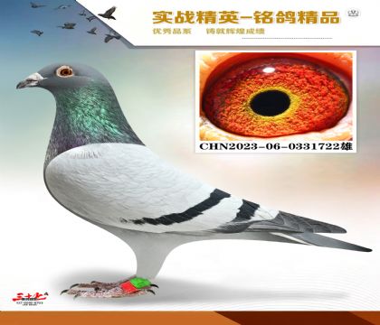 ���������ϻ���