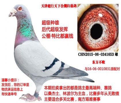 ԭ����۸루����������ӣ�