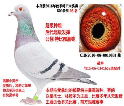 ԭ��ԴƸ루����������ӣ�