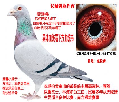 ���Ǹ�ҵ��³��������ɭ��