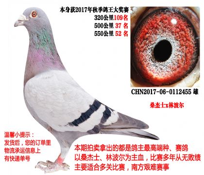 ɣ��ʿx�ֲ�����2017��ɼ��룩