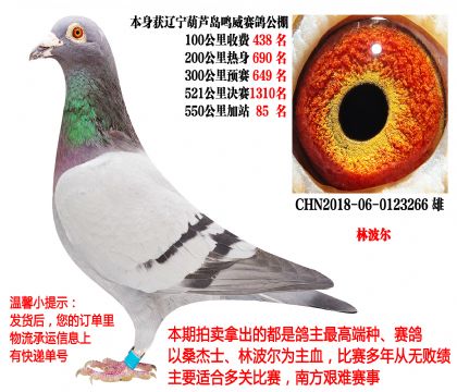 ��������ɼ��루�ֲ�����