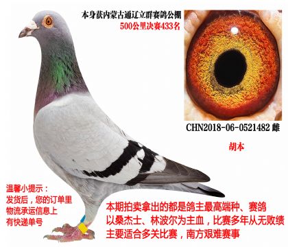 ͨ����Ⱥ����ɼ��루������