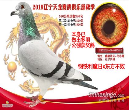 ������������񽱸루������ħ��x�������ܣ�