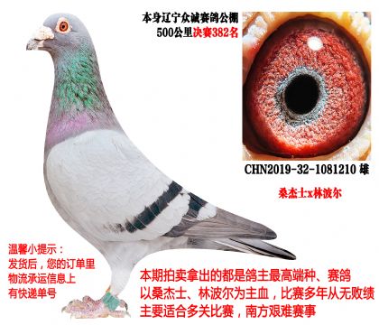 �����ڳ����빫��񽱸루����������ӣ�