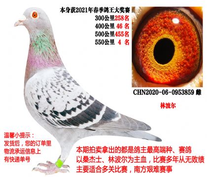 �ֲ�����2020��550����4���ȣ�