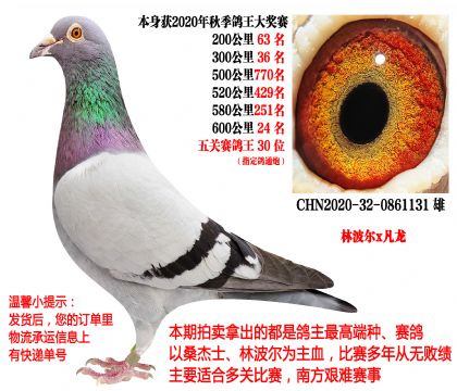 �ֲ���x��������ظ���30λ��