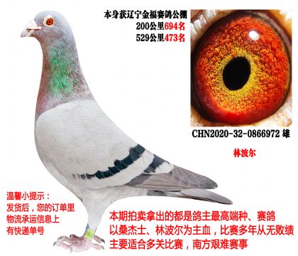 �ֲ�������«���𸣹���ɼ��룩