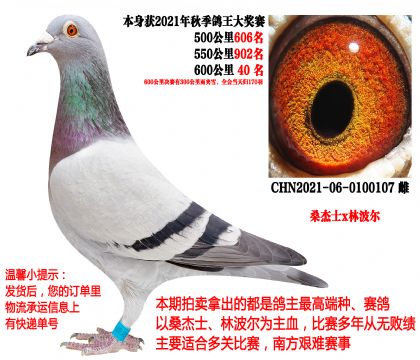 ɣ��ʿx�ֲ�����600�������ѩ40����