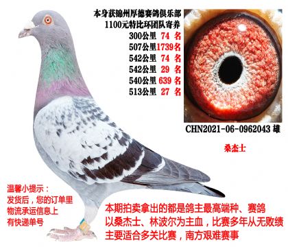 ɣ��ʿ���������Ŷ�Ժ��5��500����ɼ��룩