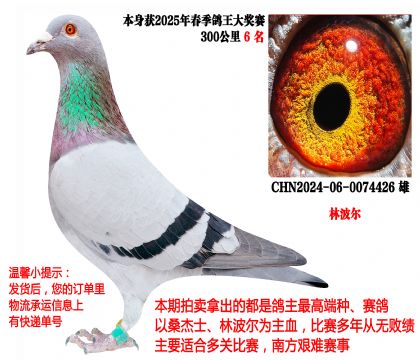 �ֲ�����300����6����