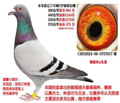 �ֲ���x�������˳�VIP����ɼ��룩