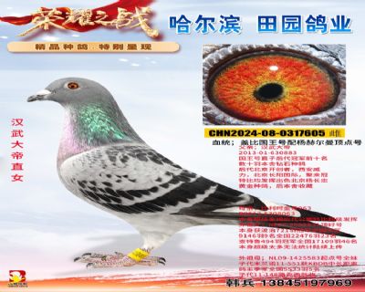 ������ֱŮ605