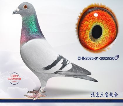 1.����x����.2002920