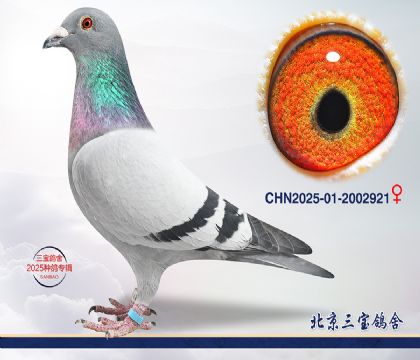 3.����x����.2002921