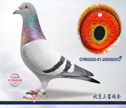 4.�ٰ�����Ѫ.2002925