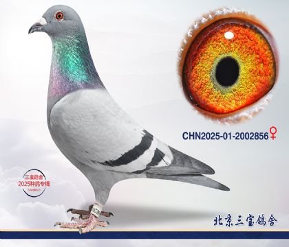 5.����x����.2002856