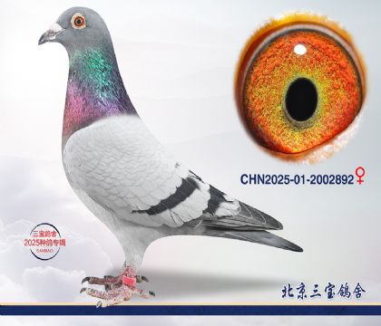 6.Ӣ��˹��Ѫ.2002892