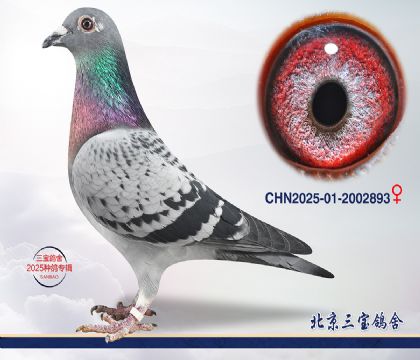 9.Ӣ��˹��Ѫ.2002893