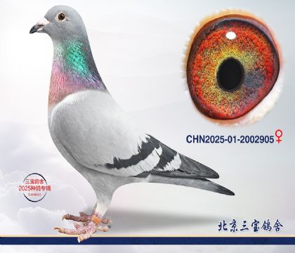 13.����x��ʱ��.2002905